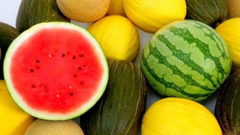 Watermelon ug melon - berries delikado alang sa mga diabetics